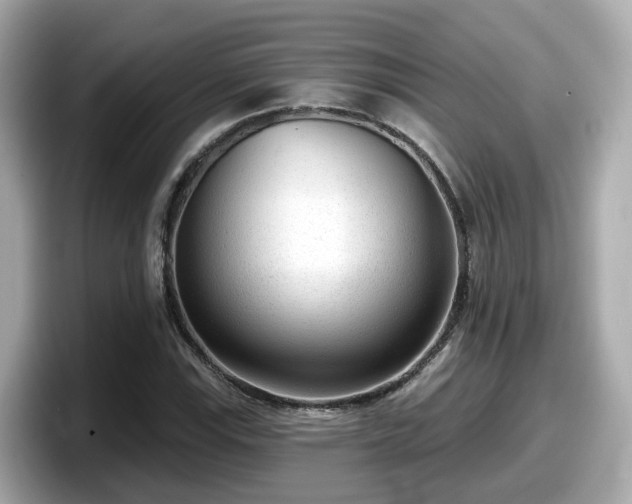 X0000098091115200804110957