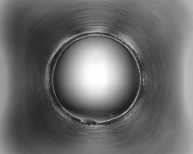 X0000098091116200804110957