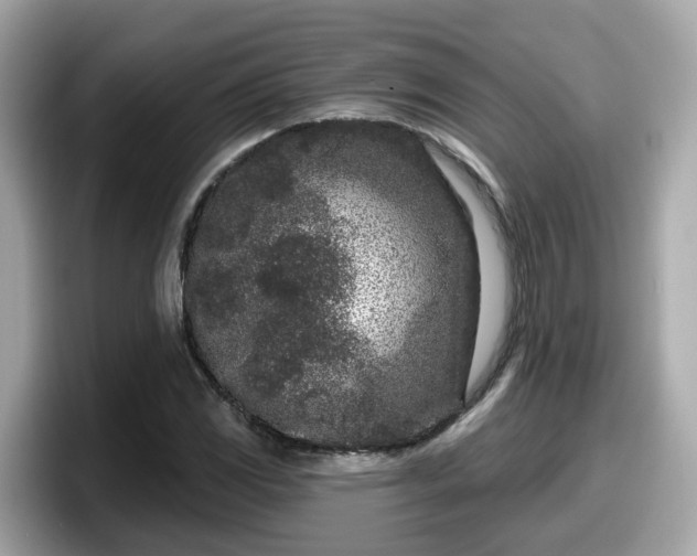 X0000098091117200804110957