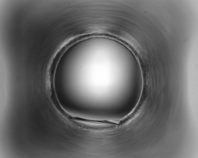 X0000098091118200804110957
