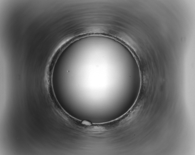 X0000098091119200804110957