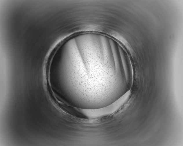 X0000098091120200804110957