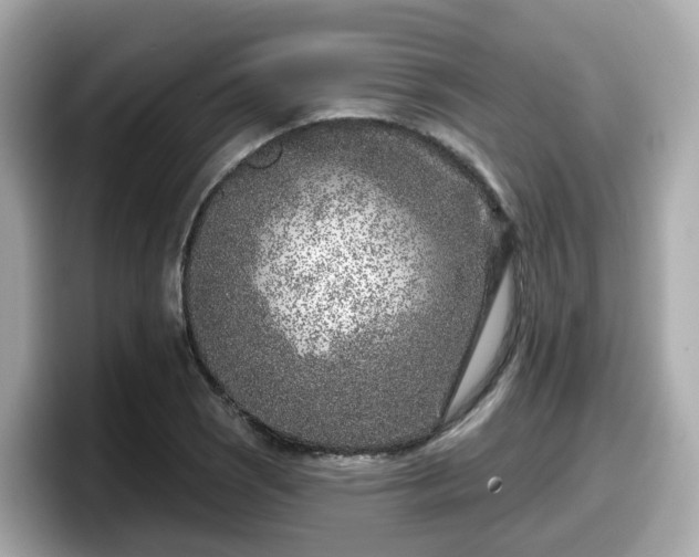 X0000098091121200804110957
