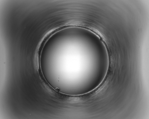X0000098091123200804110957