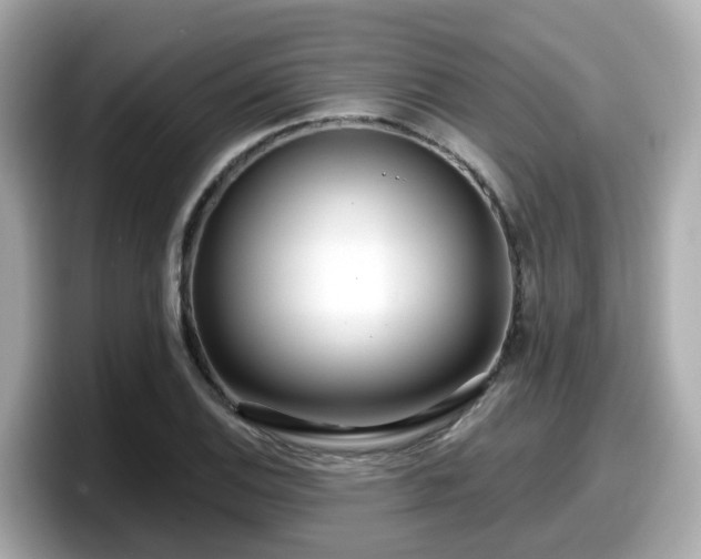 X0000098091124200804110957