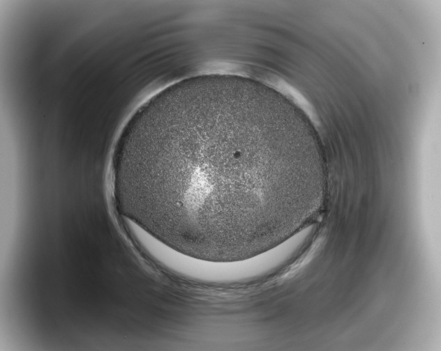 X0000098091125200804110957