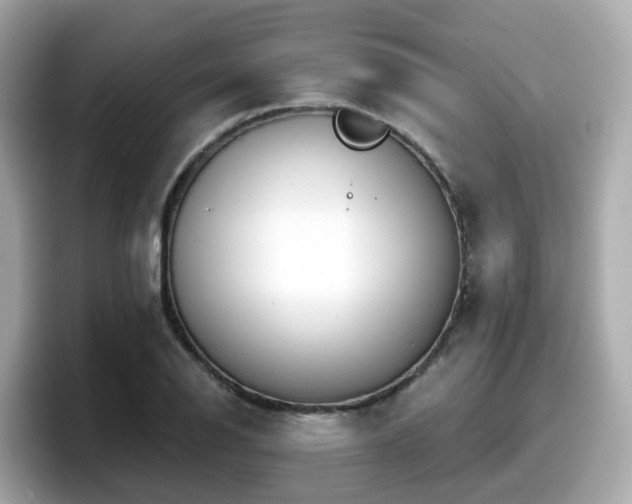 X0000098091126200804110957
