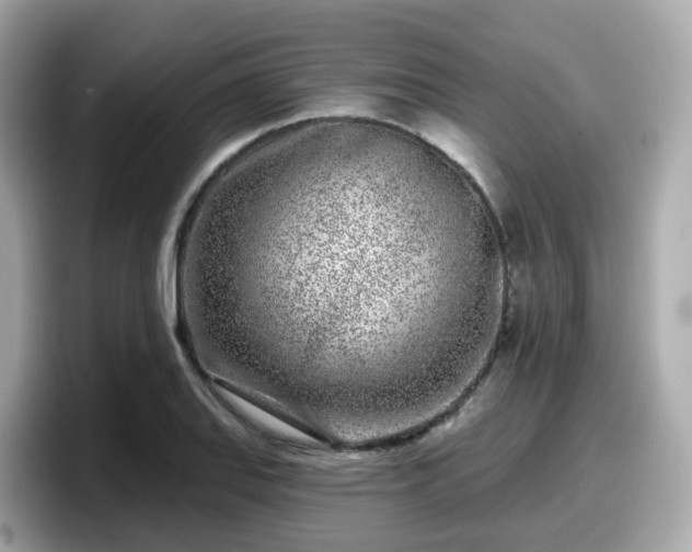 X0000098091127200804110957