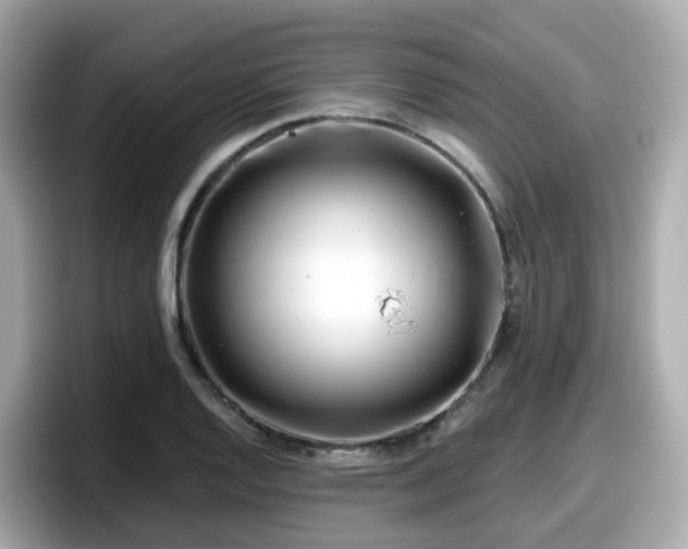 X0000098091128200804110957