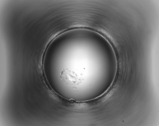 X0000098091129200804110957