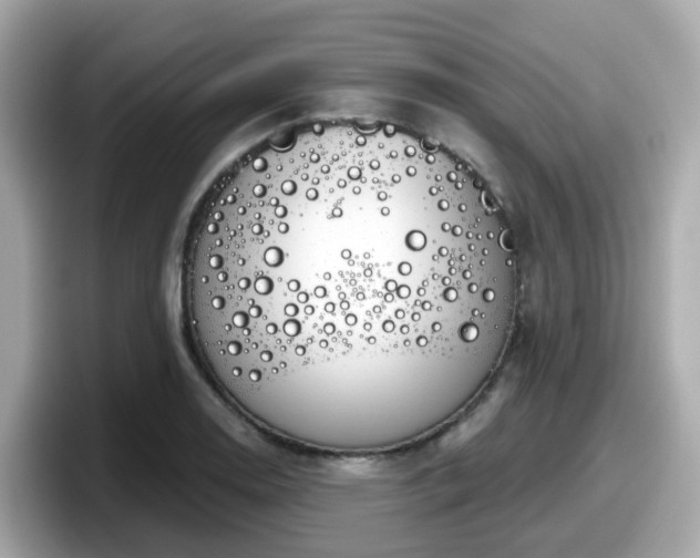 X0000098091130200804110957
