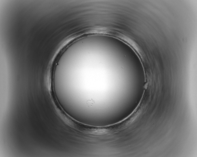 X0000098091131200804110957