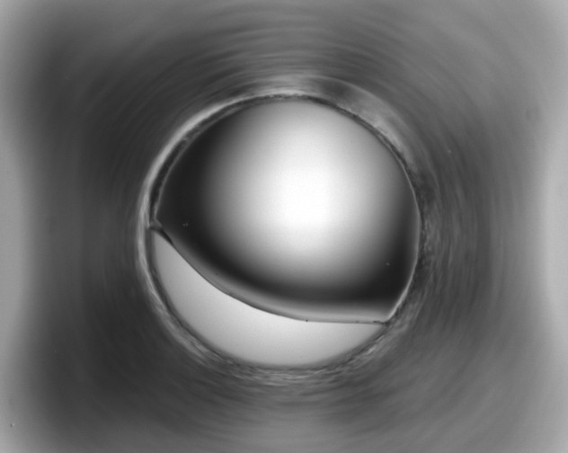 X0000098091132200804110957