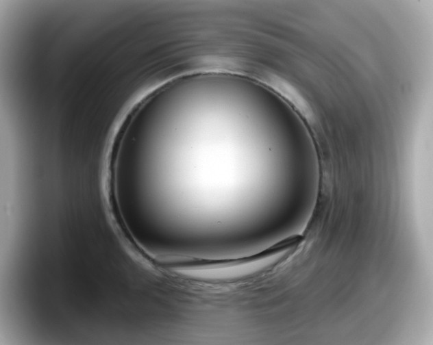 X0000098091136200804110957
