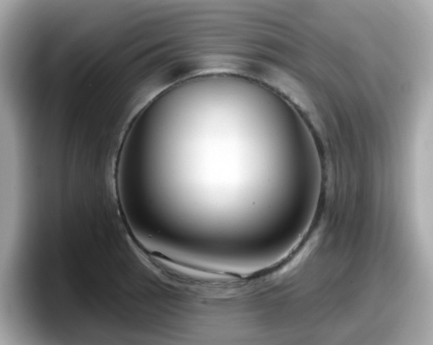 X0000098091137200804110957