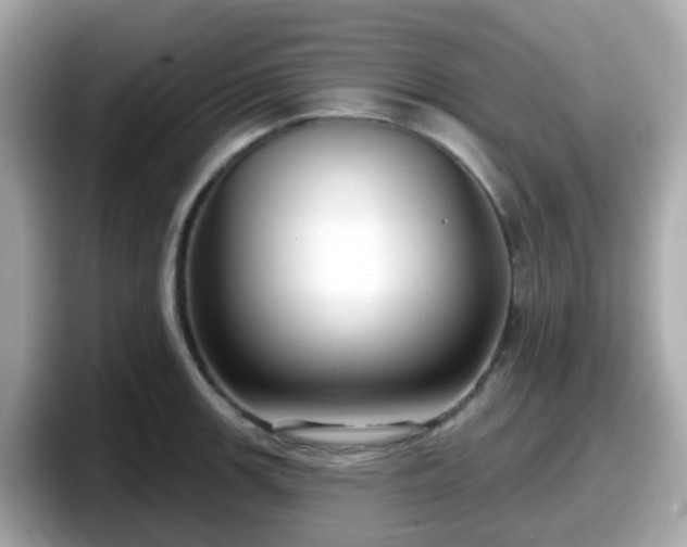 X0000098091139200804110957