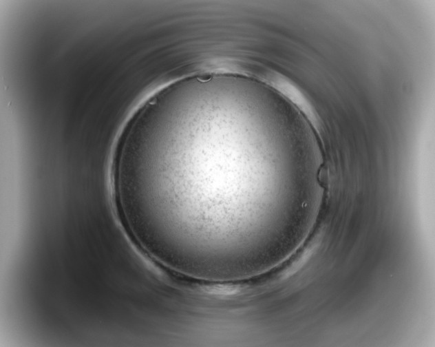 X0000098091141200804110957