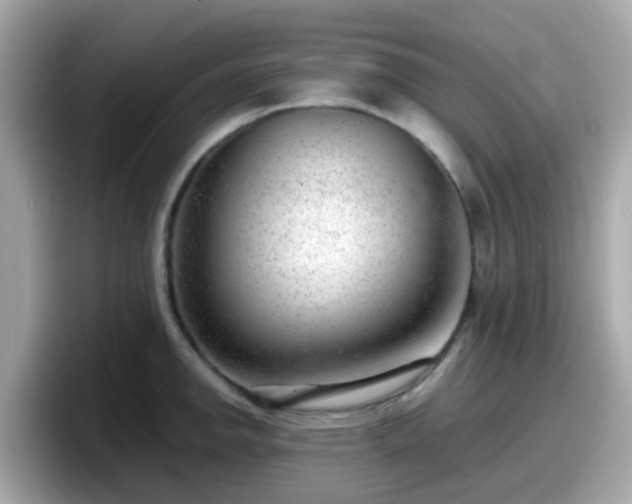 X0000098091142200804110957
