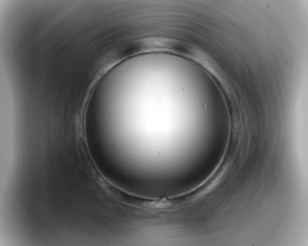 X0000098091145200804110957