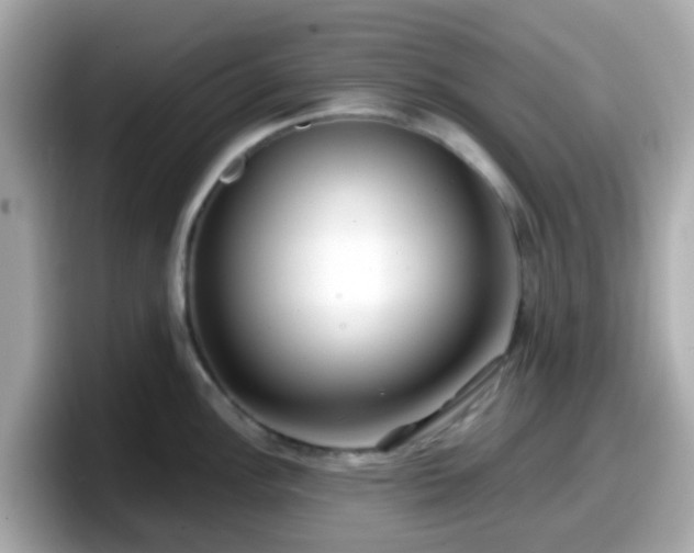 X0000098091148200804110957