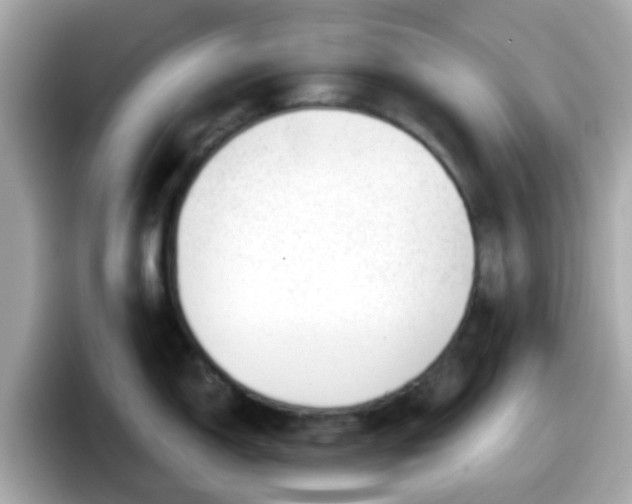 X0000098091150200804110957