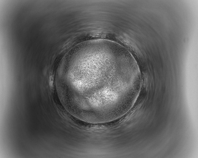 X0000098091154200804110957