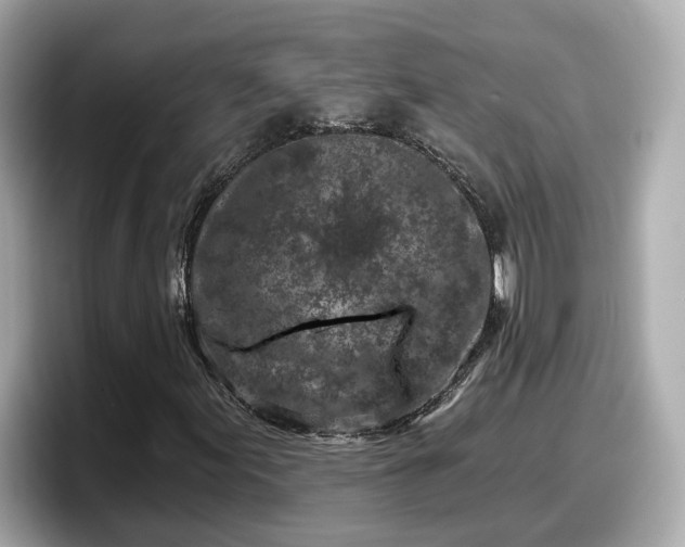 X0000098091155200804110957