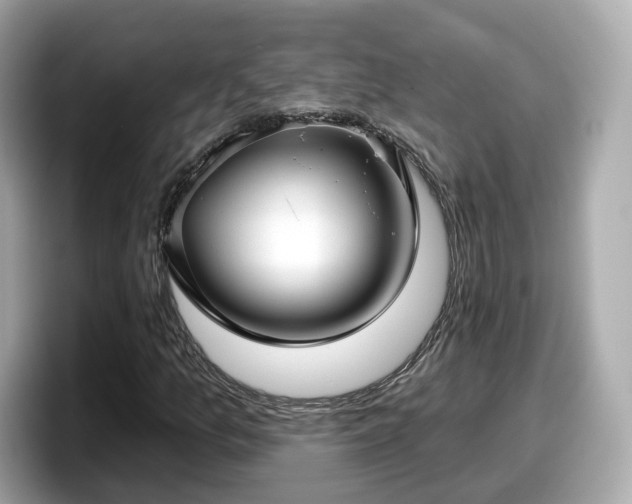 X0000098091157200804110957