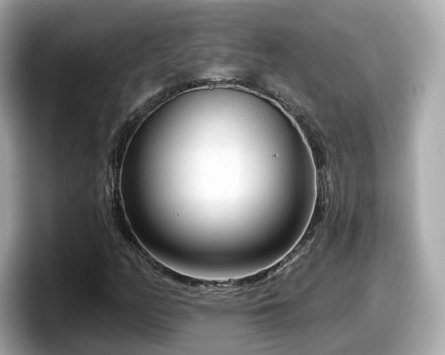 X0000098091158200804110957