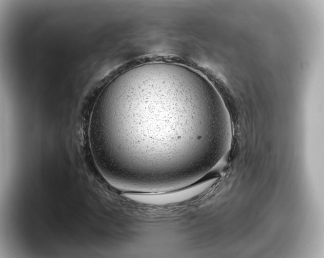 X0000098091159200804110957
