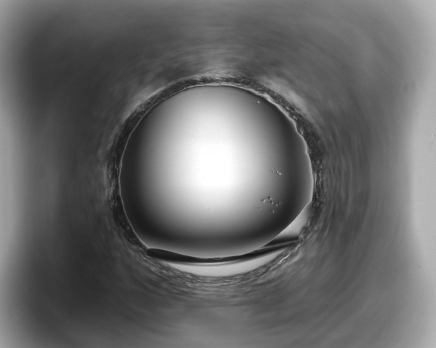 X0000098091160200804110957