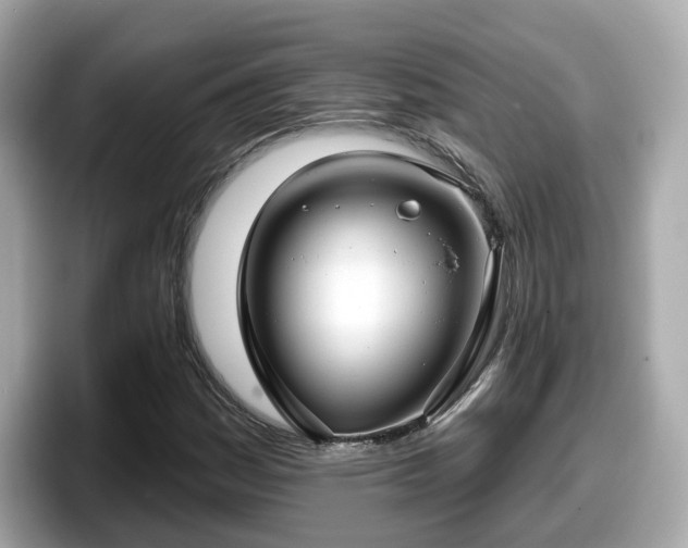 X0000098091161200804110957