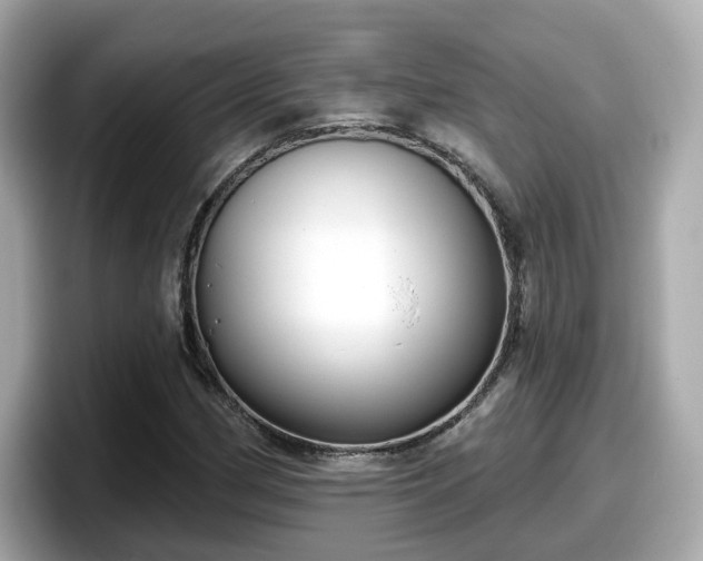 X0000098091162200804110957