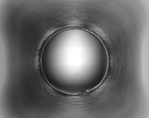 X0000098091164200804110957