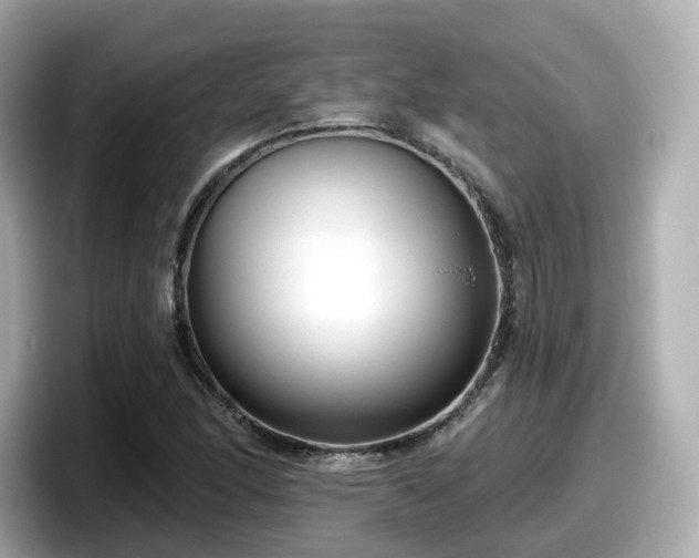X0000098091166200804110957