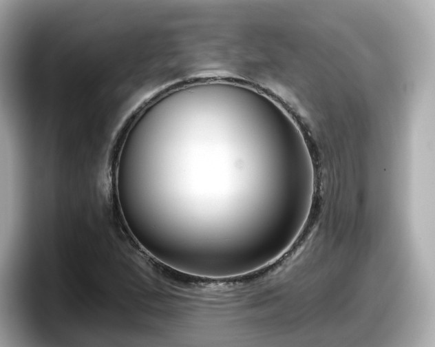 X0000098091167200804110957