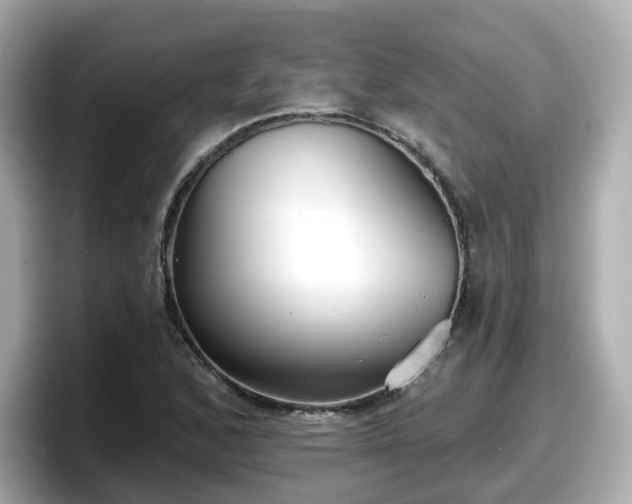 X0000098091168200804110957
