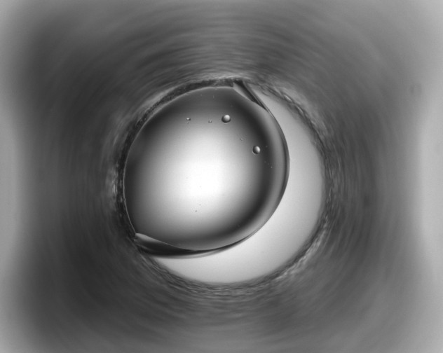 X0000098091169200804110956