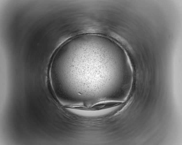 X0000098091170200804110956