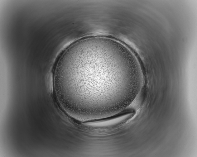 X0000098091171200804110956