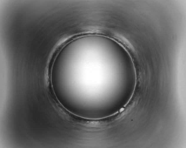 X0000098091172200804110956