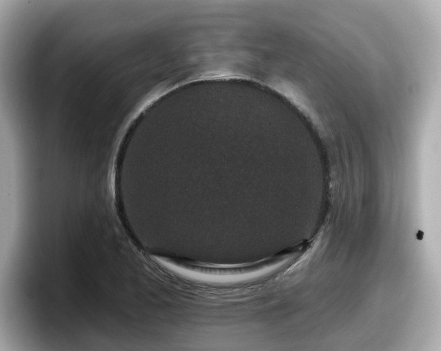 X0000098091173200804110956