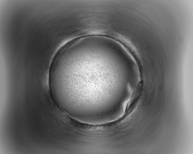 X0000098091174200804110956