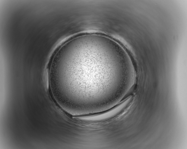 X0000098091175200804110956
