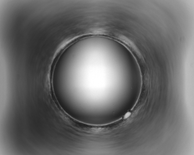 X0000098091176200804110956