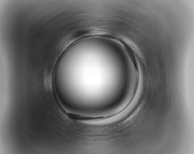 X0000098091177200804110956