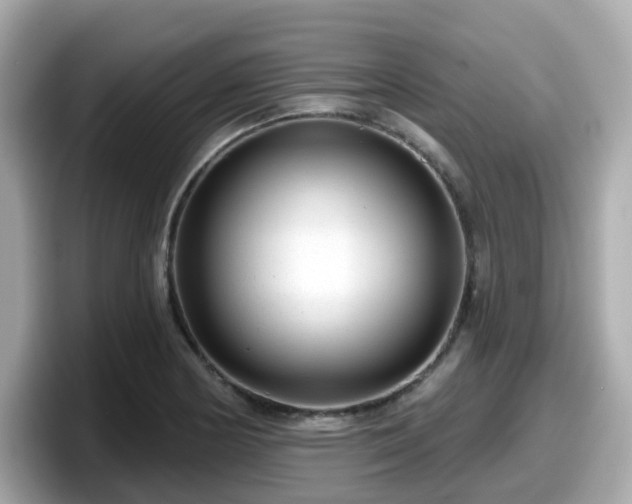 X0000098091178200804110956