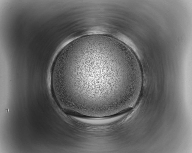 X0000098091179200804110956