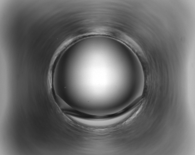 X0000098091180200804110956