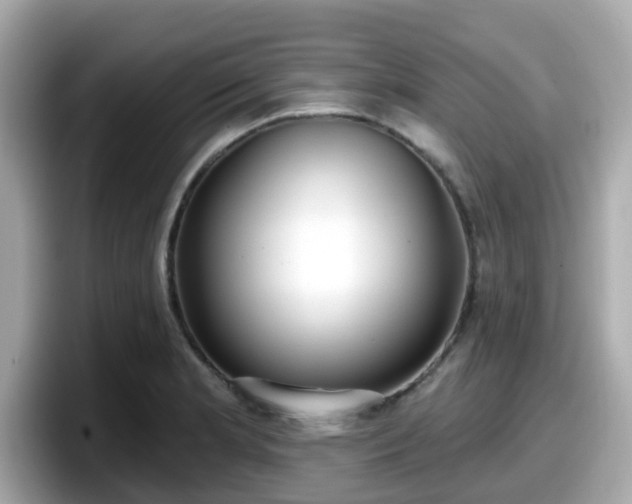X0000098091181200804110956